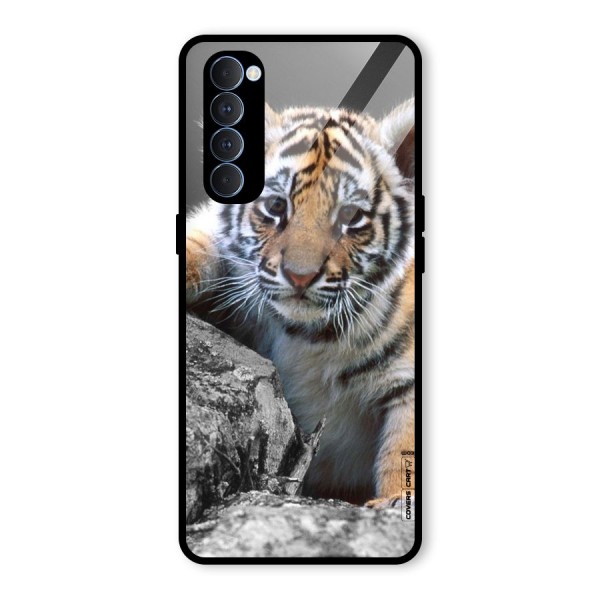 Animal Beauty Glass Back Case for Oppo Reno4 Pro