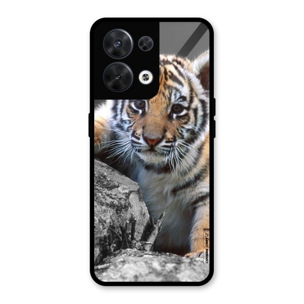 Animal Beauty Glass Back Case for Oppo Reno8 5G