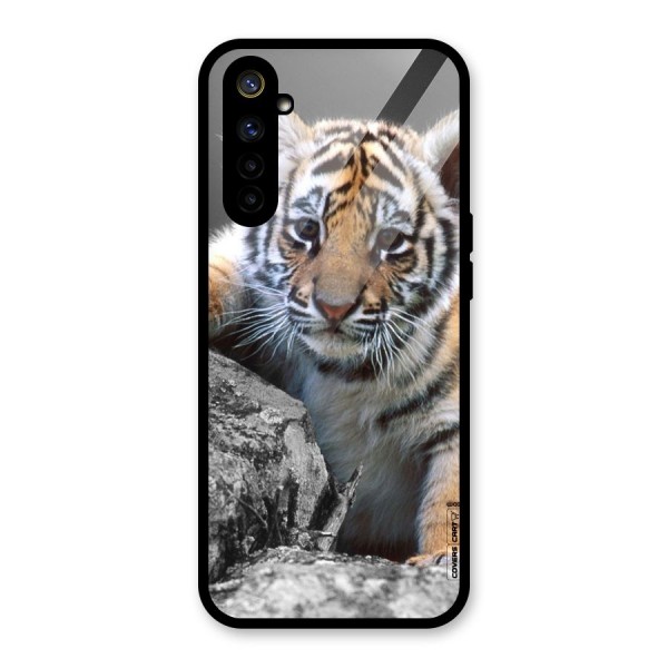 Animal Beauty Glass Back Case for Realme 6i