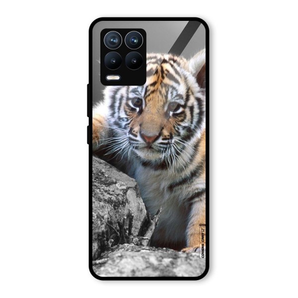 Animal Beauty Glass Back Case for Realme 8 Pro