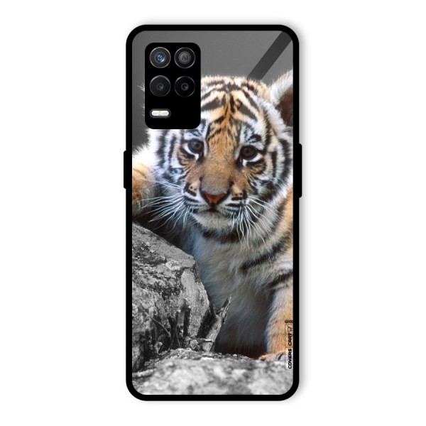 Animal Beauty Glass Back Case for Realme 9 5G