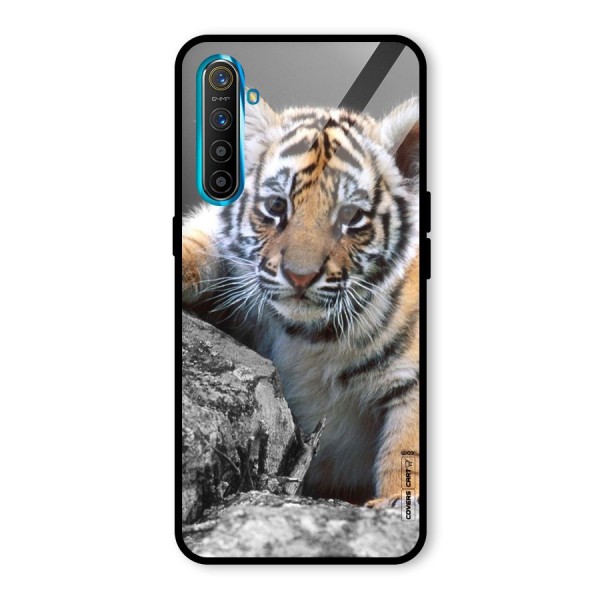 Animal Beauty Glass Back Case for Realme XT