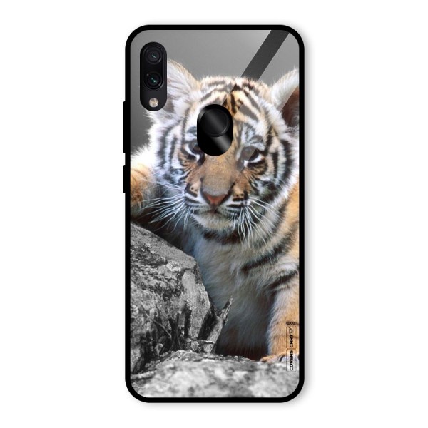 Animal Beauty Glass Back Case for Redmi Note 7