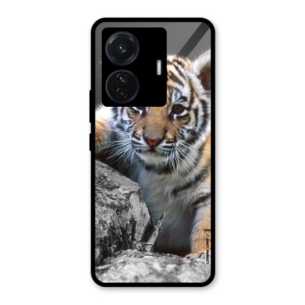 Animal Beauty Glass Back Case for Vivo T1 Pro