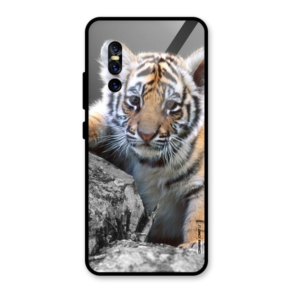 Animal Beauty Glass Back Case for Vivo V15 Pro