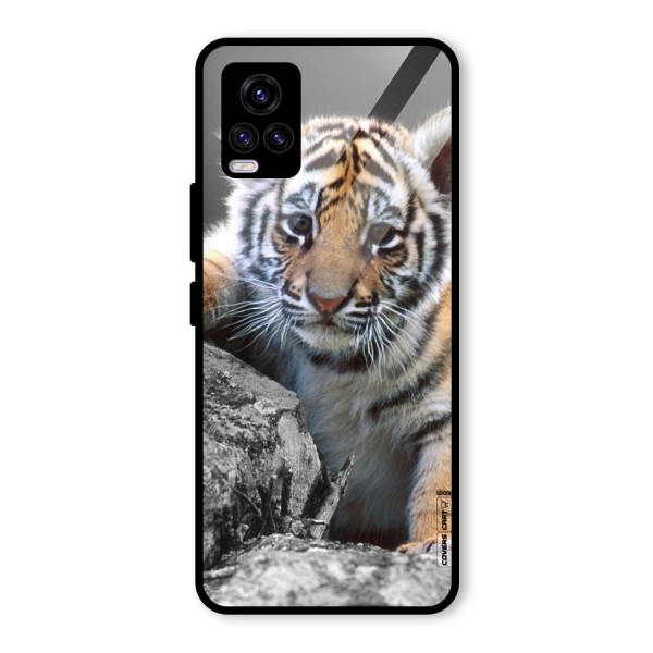 Animal Beauty Glass Back Case for Vivo V20