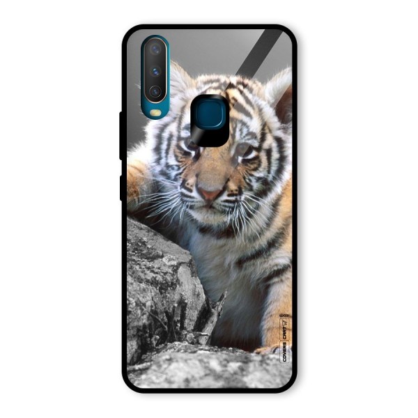 Animal Beauty Glass Back Case for Vivo Y12