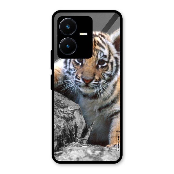 Animal Beauty Glass Back Case for Vivo Y22