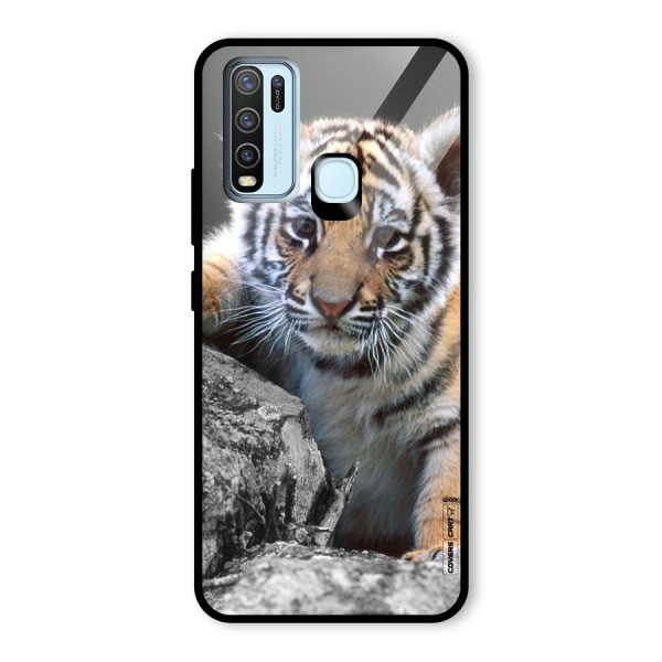 Animal Beauty Glass Back Case for Vivo Y30