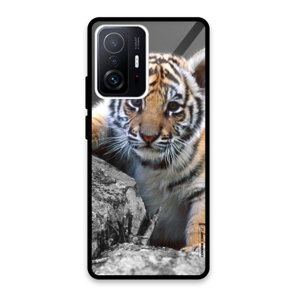 Animal Beauty Glass Back Case for Xiaomi 11T Pro