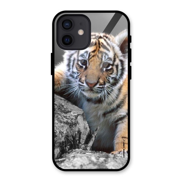 Animal Beauty Glass Back Case for iPhone 12