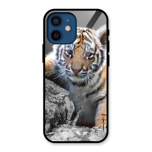 Animal Beauty Glass Back Case for iPhone 12 Mini