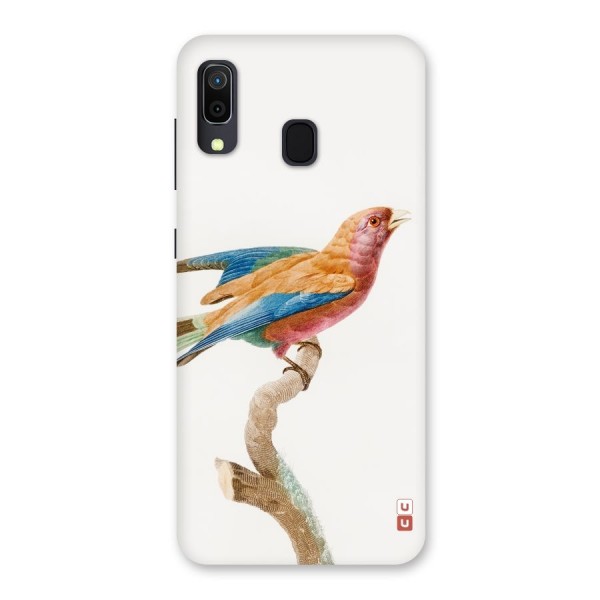 Beautiful Bird Back Case for Galaxy A20