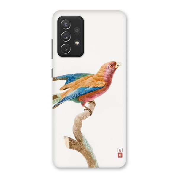 Beautiful Bird Back Case for Galaxy A72