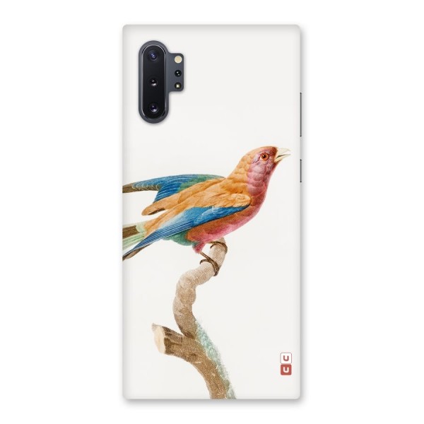 Beautiful Bird Back Case for Galaxy Note 10 Plus