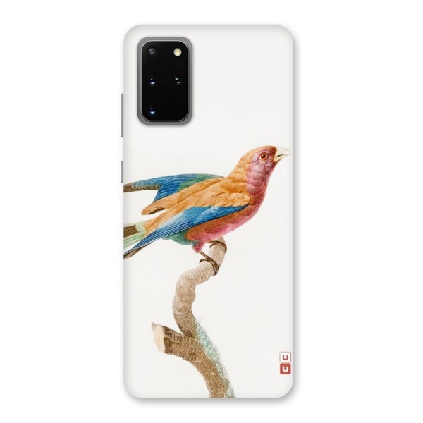 Beautiful Bird Back Case for Galaxy S20 Plus