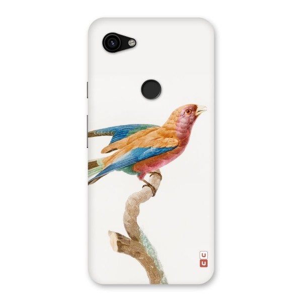 Beautiful Bird Back Case for Google Pixel 3a XL