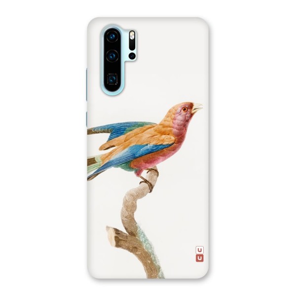 Beautiful Bird Back Case for Huawei P30 Pro