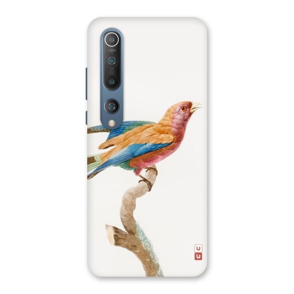 Beautiful Bird Back Case for Mi 10