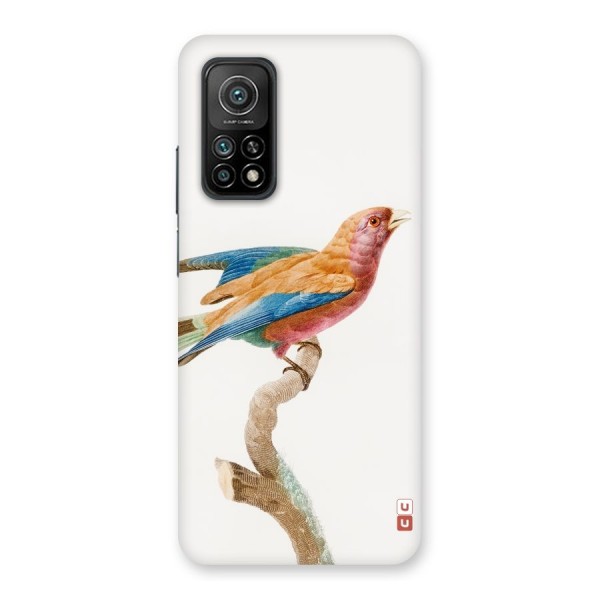 Beautiful Bird Back Case for Mi 10T Pro 5G