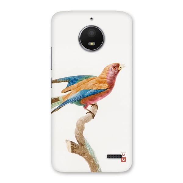 Beautiful Bird Back Case for Moto E4