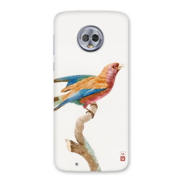 Beautiful Bird Back Case for Moto G6