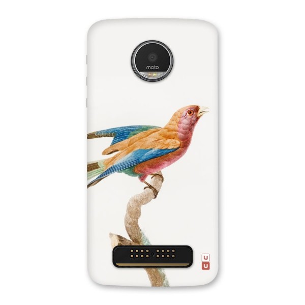 Beautiful Bird Back Case for Moto Z Play