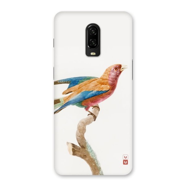 Beautiful Bird Back Case for OnePlus 6T