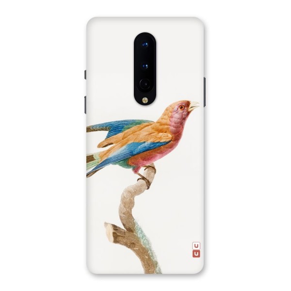 Beautiful Bird Back Case for OnePlus 8