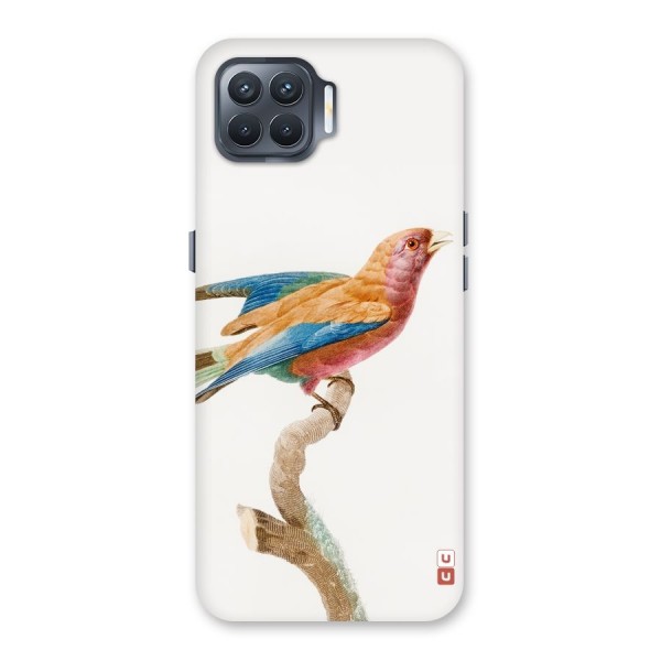 Beautiful Bird Back Case for Oppo F17 Pro