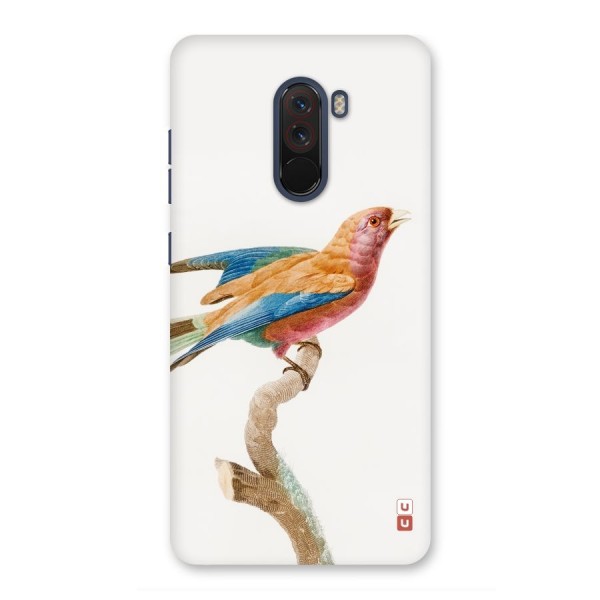 Beautiful Bird Back Case for Poco F1