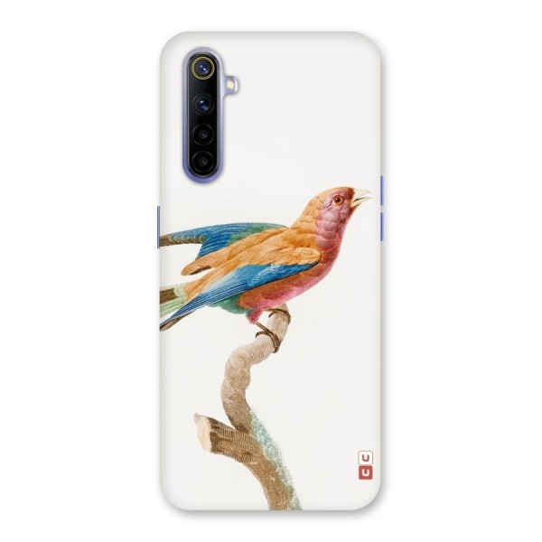 Beautiful Bird Back Case for Realme 6i