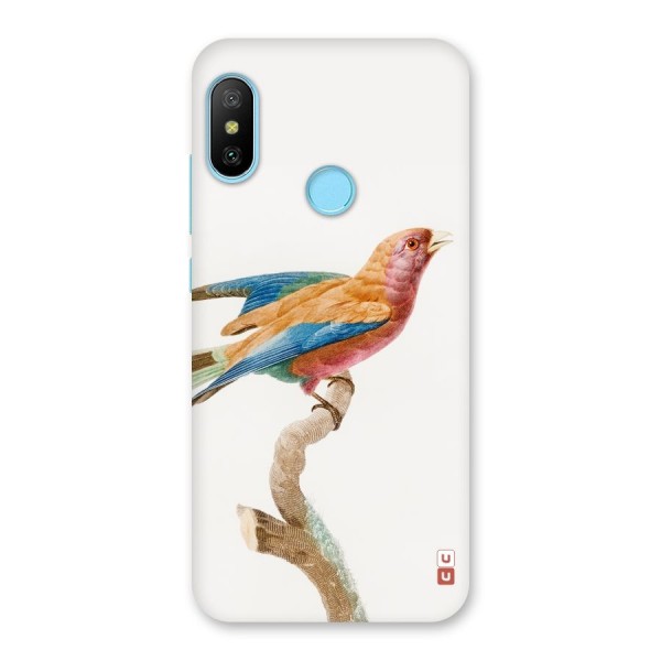 Beautiful Bird Back Case for Redmi 6 Pro