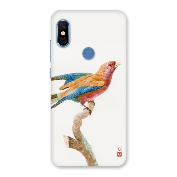 Beautiful Bird Back Case for Redmi Note 6 Pro