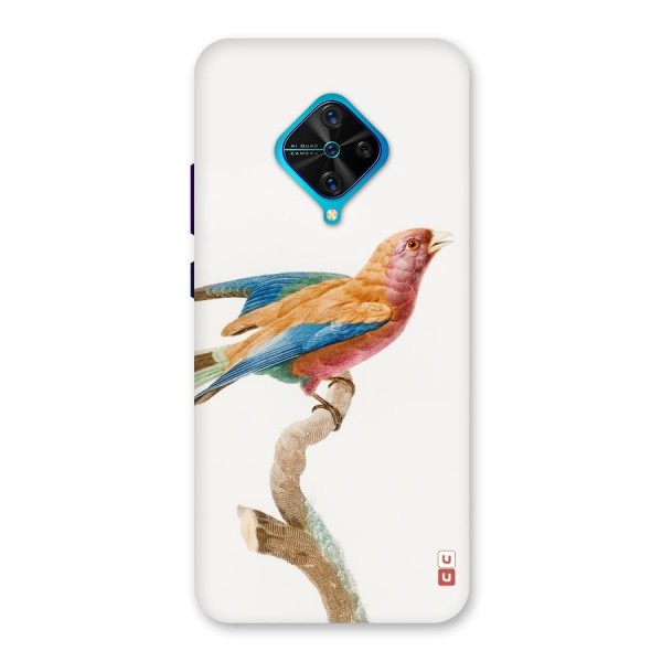 Beautiful Bird Back Case for Vivo S1 Pro