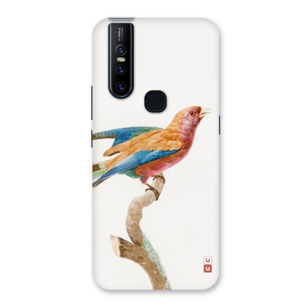 Beautiful Bird Back Case for Vivo V15