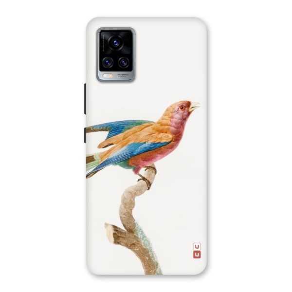 Beautiful Bird Back Case for Vivo V20 Pro