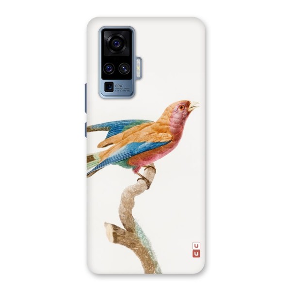 Beautiful Bird Back Case for Vivo X50 Pro