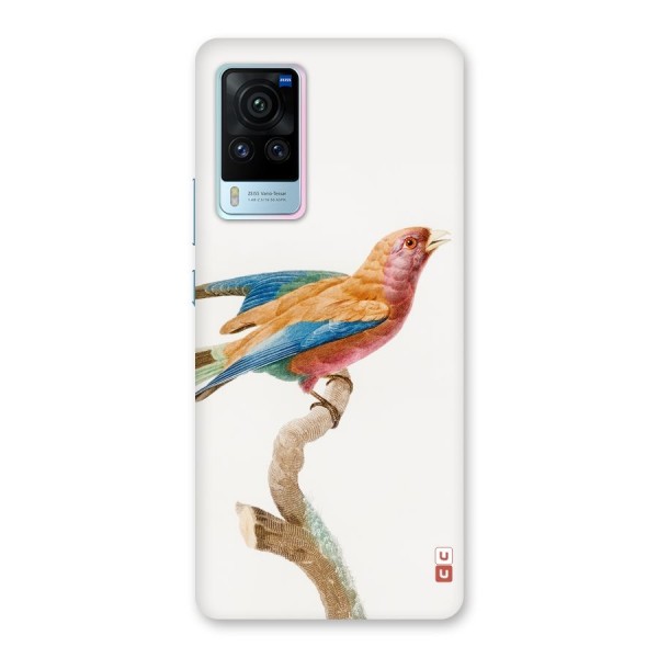 Beautiful Bird Back Case for Vivo X60 Pro