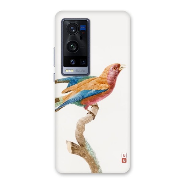 Beautiful Bird Back Case for Vivo X60 Pro Plus