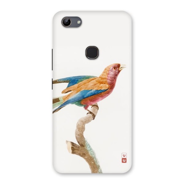 Beautiful Bird Back Case for Vivo Y81