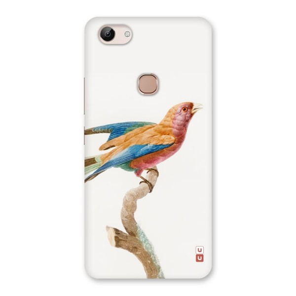 Beautiful Bird Back Case for Vivo Y83