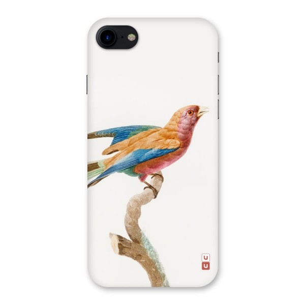 Beautiful Bird Back Case for iPhone SE 2020