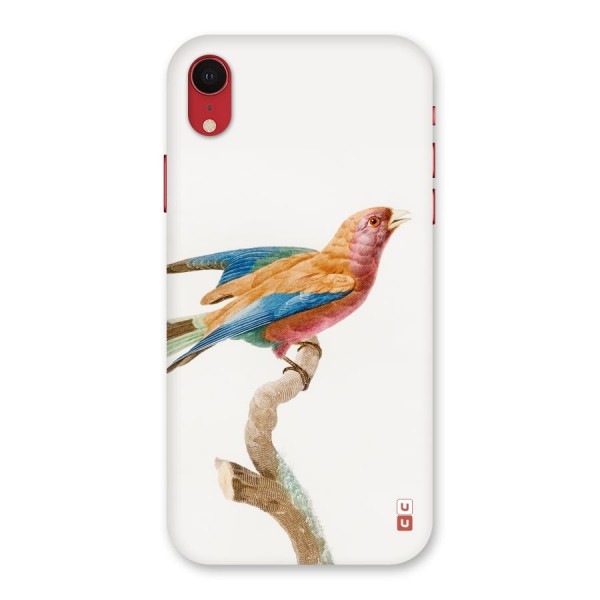 Beautiful Bird Back Case for iPhone XR