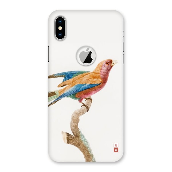 Beautiful Bird Back Case for iPhone XS Logo Cut