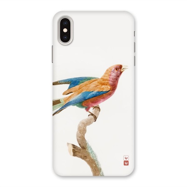 Beautiful Bird Back Case for iPhone XS Max