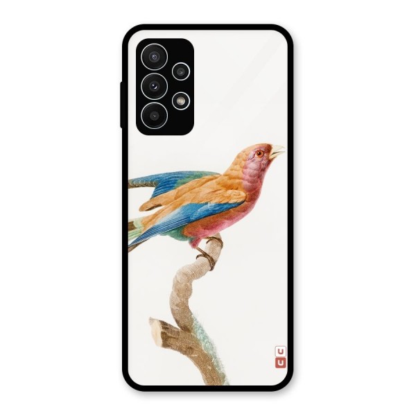 Beautiful Bird Glass Back Case for Galaxy A23