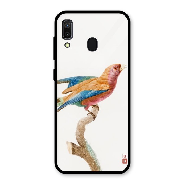 Beautiful Bird Glass Back Case for Galaxy A30