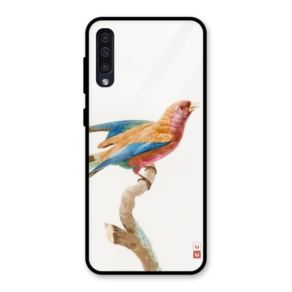 Beautiful Bird Glass Back Case for Galaxy A50s