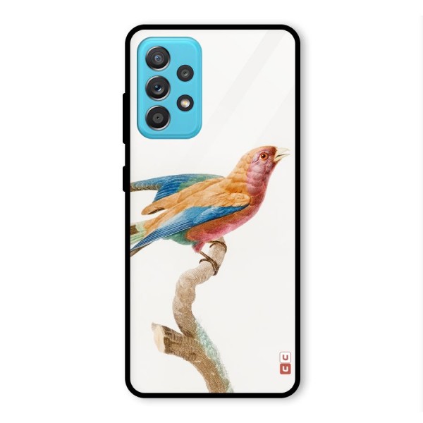 Beautiful Bird Glass Back Case for Galaxy A52s 5G